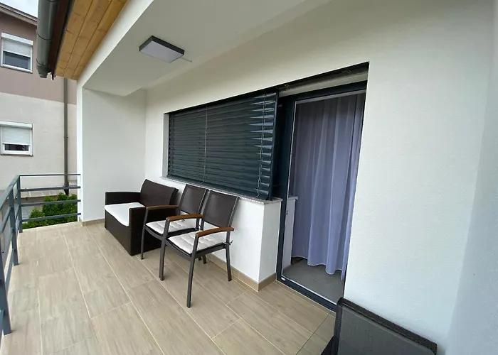 Cedrus * 巴拉顿菲赖德